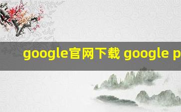 google官网下载 google play